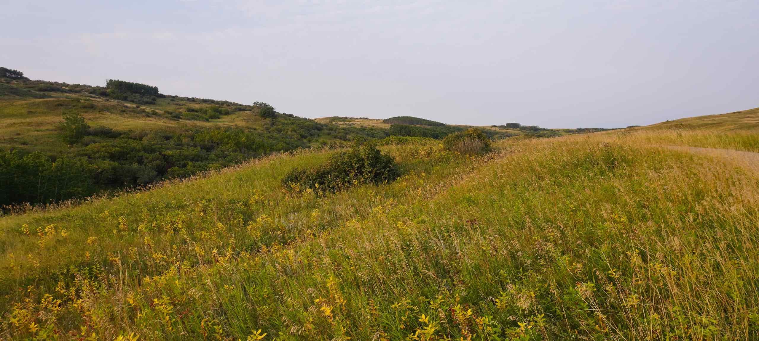 Door installation in Charleswood Calgary
